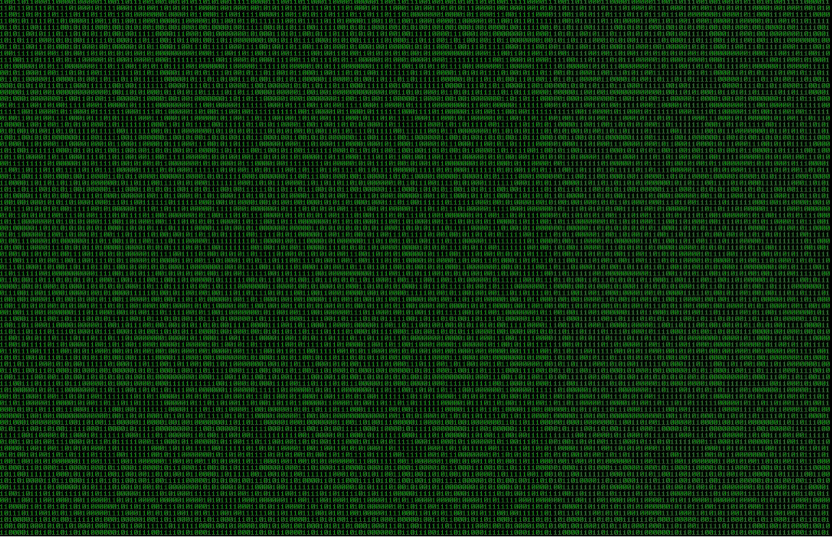 binary 0101